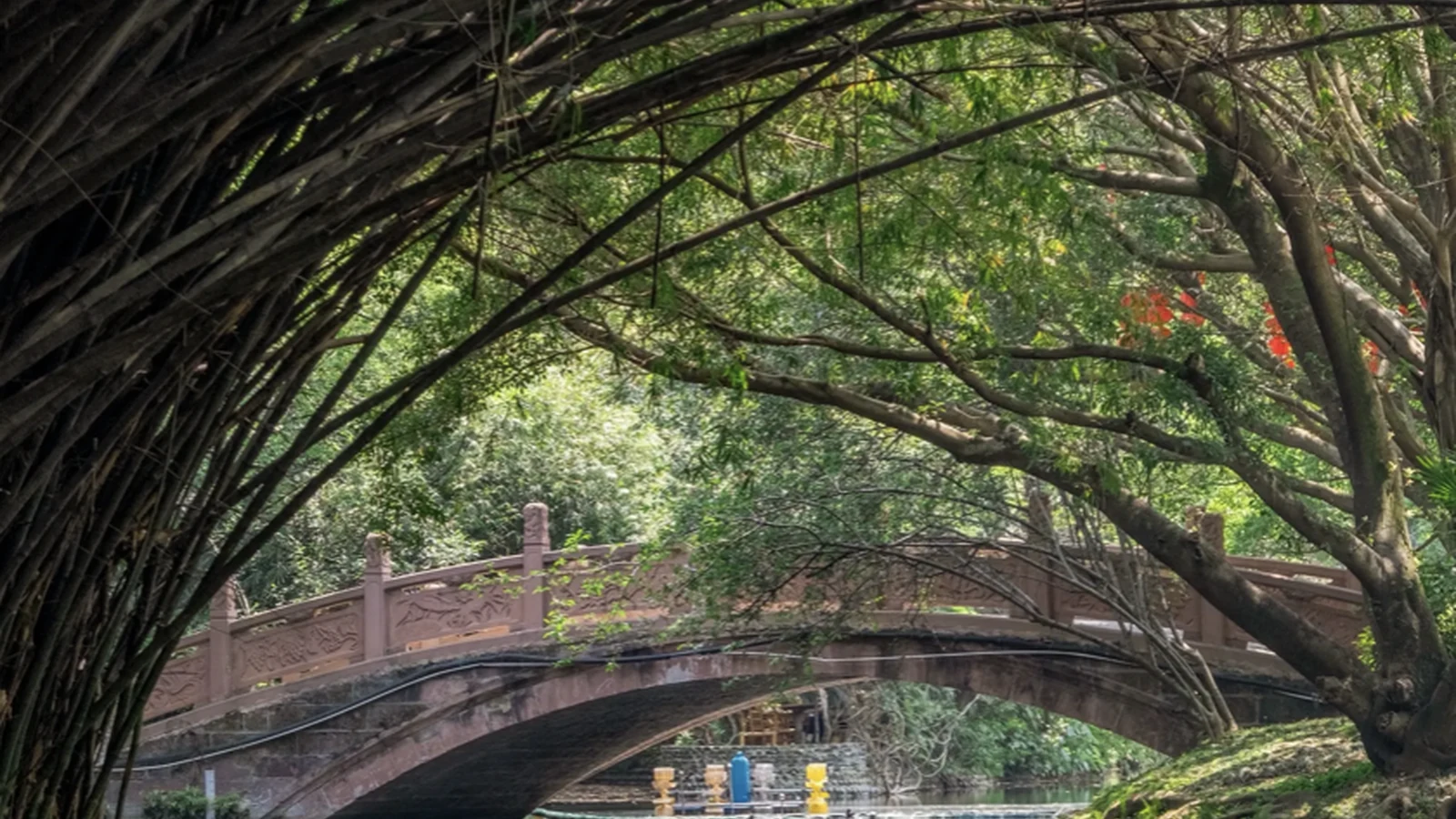 Chengdu & Sichuan Tours