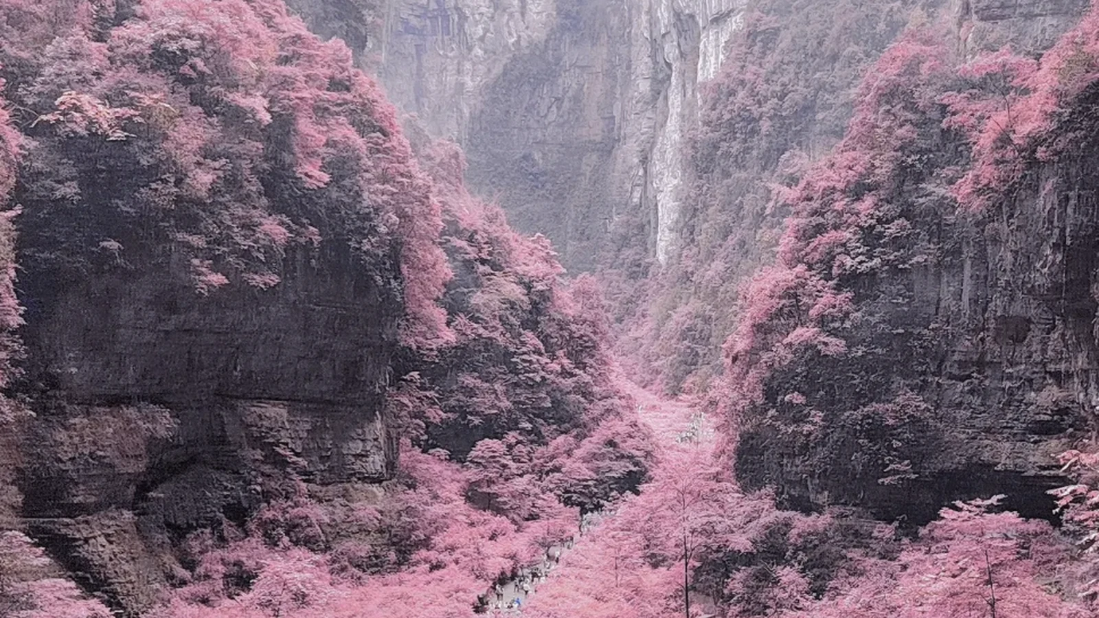 Chongqing Mountain City & Yangtze River Tours